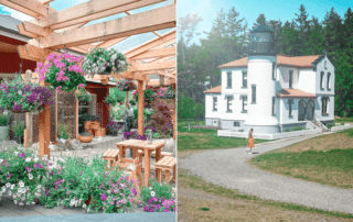 If you are looking for the perfect Weekend getaway, Whidbey Island is the place! This guide will show you the best things to do on Whidbey Island.