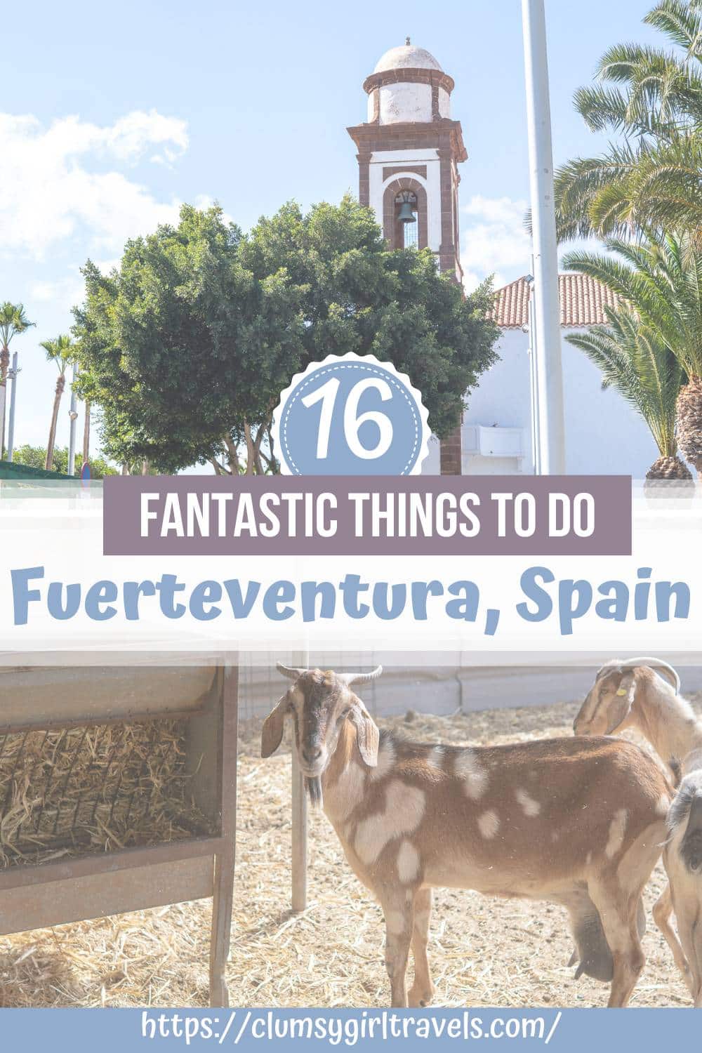 things to do in fuerteventura