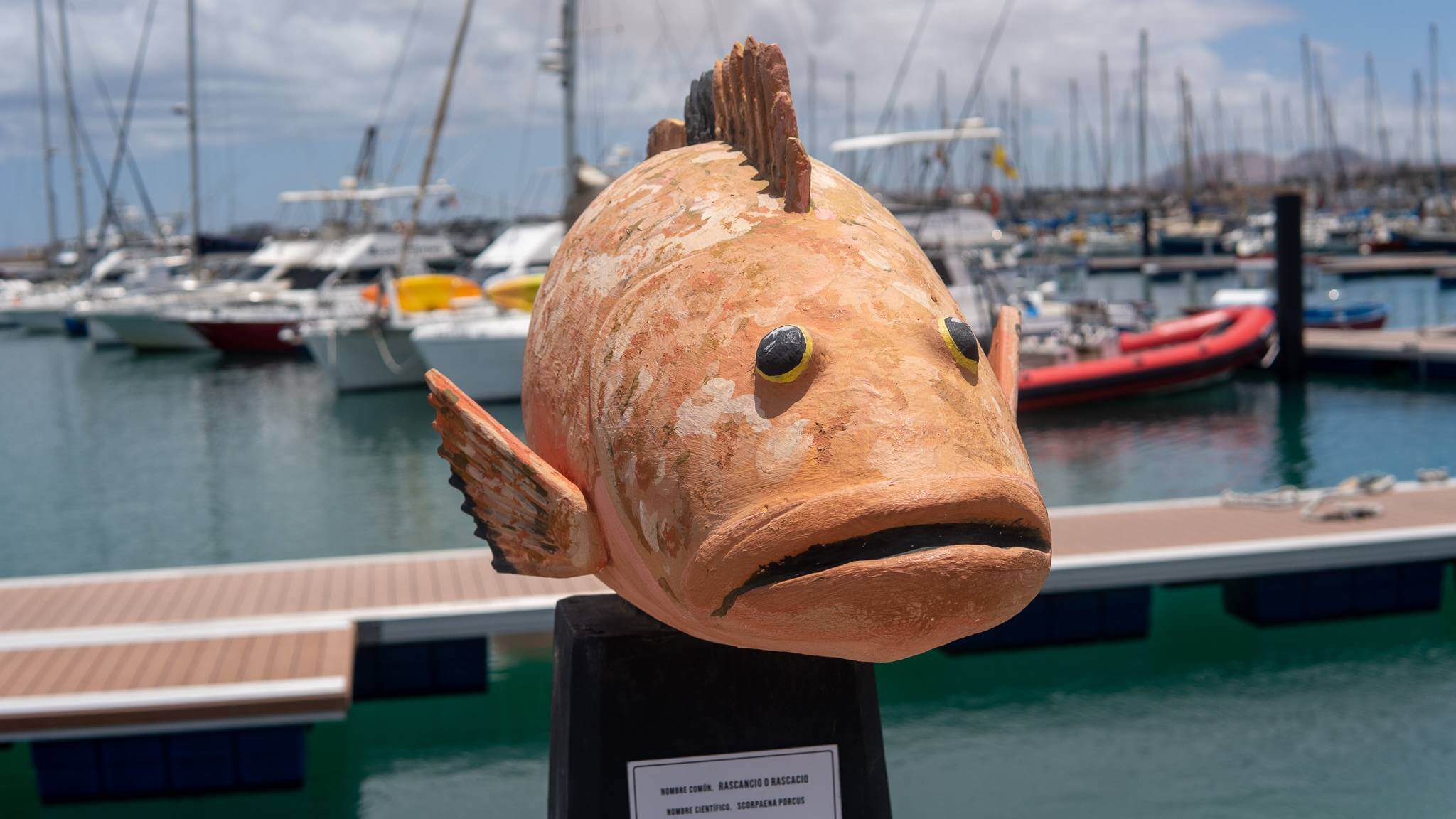 Corralejo, Fuerteventura