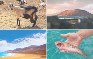 things to do in fuerteventura