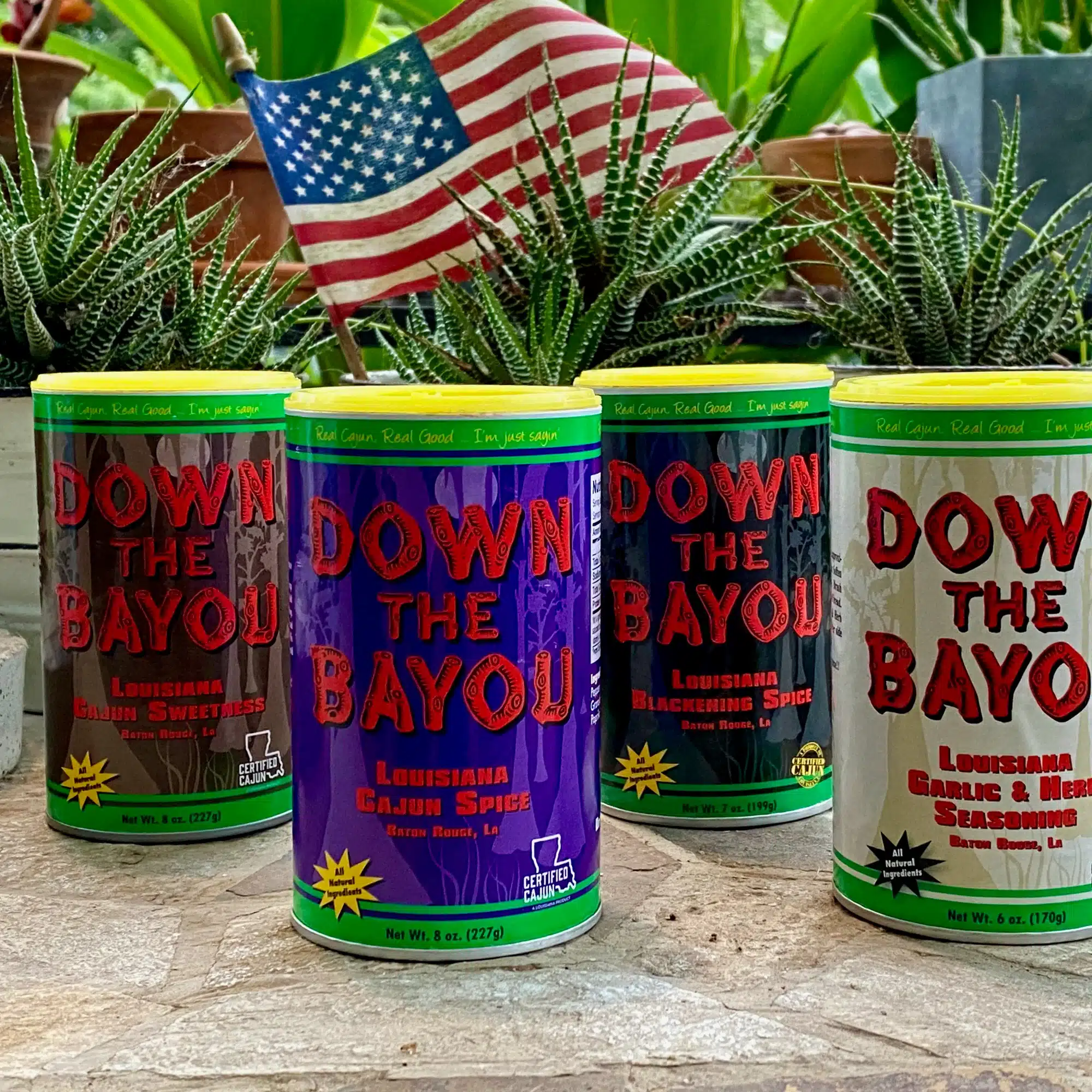 Down The Bayou