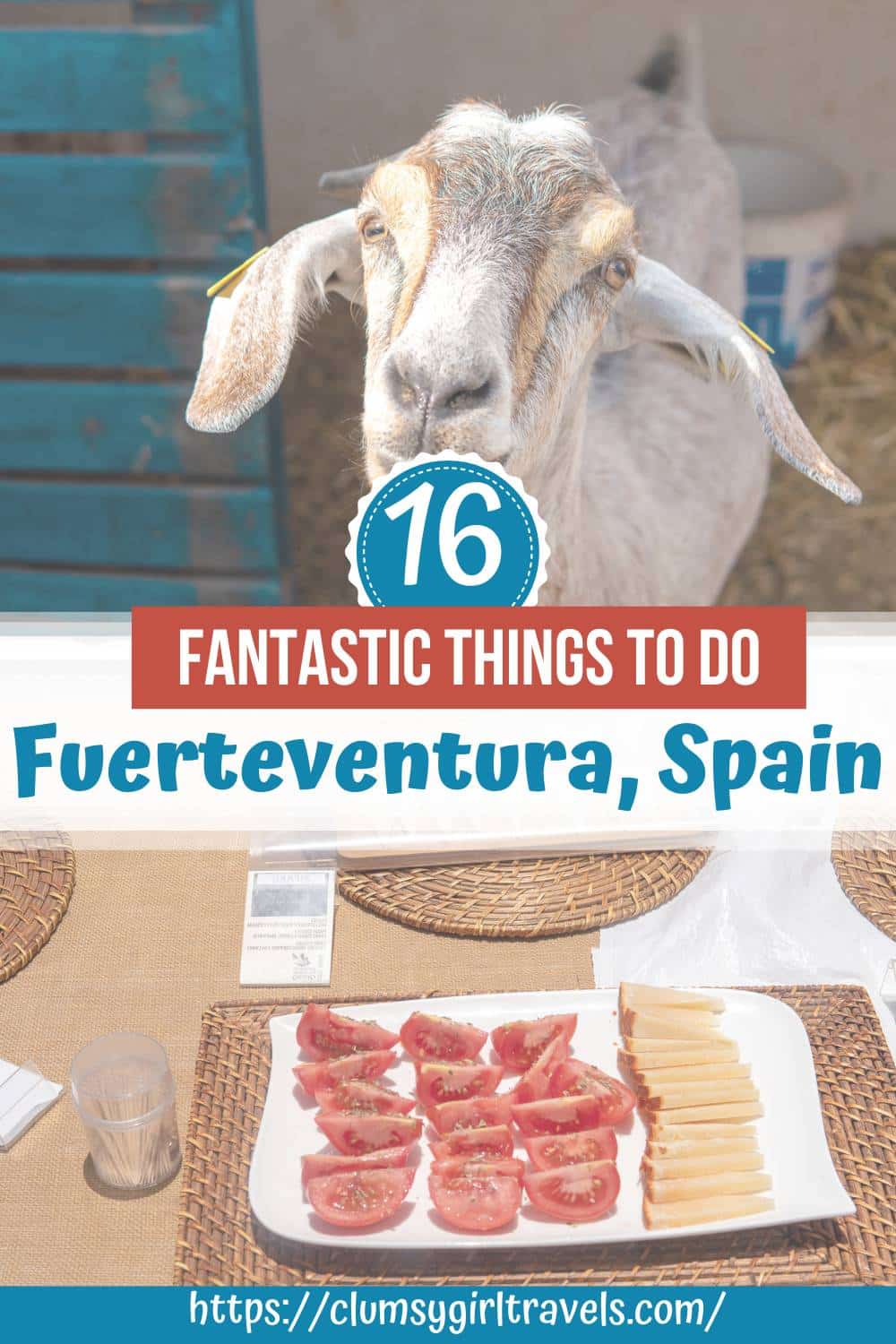 things to do in fuerteventura