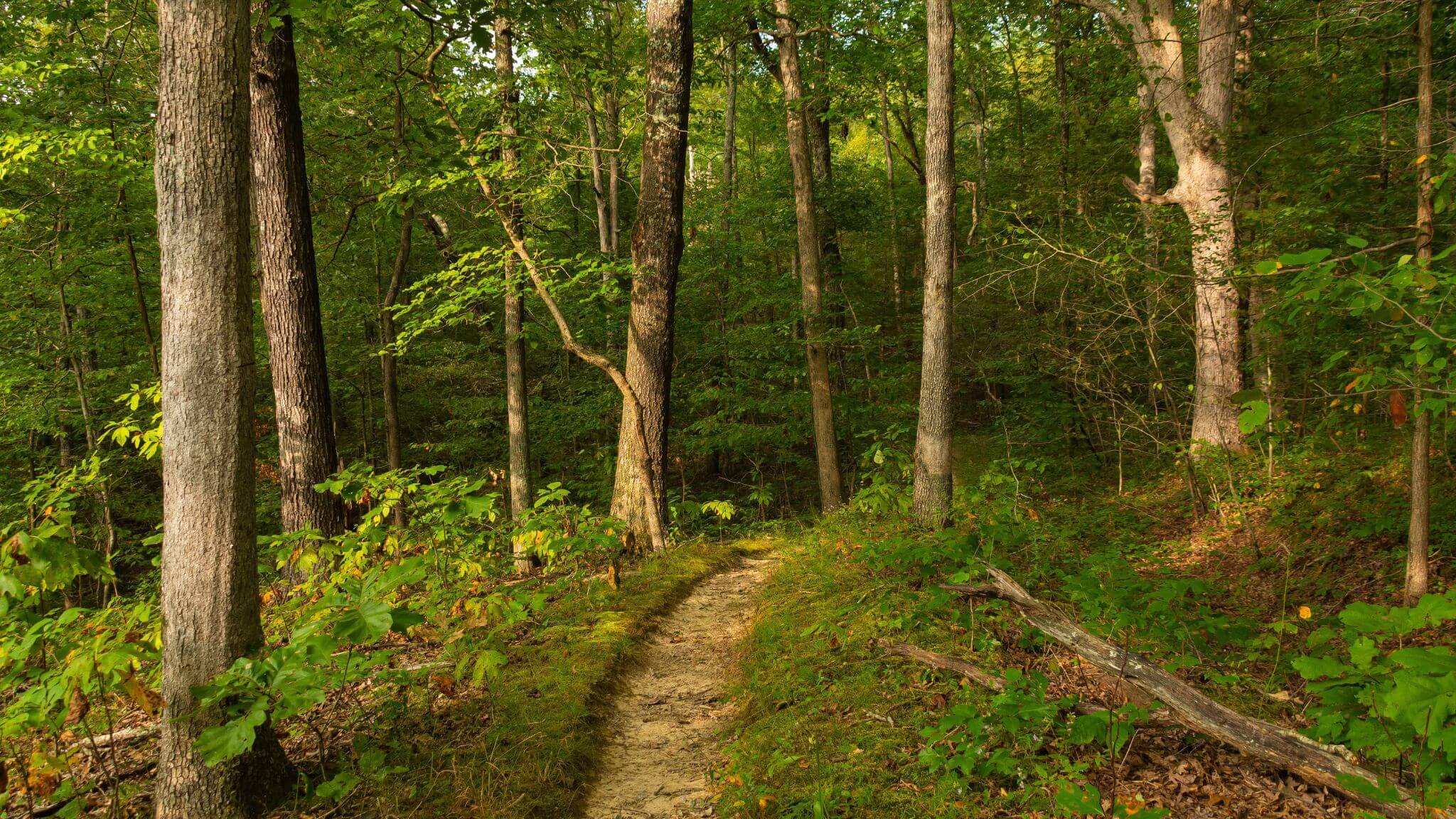 hiking trails