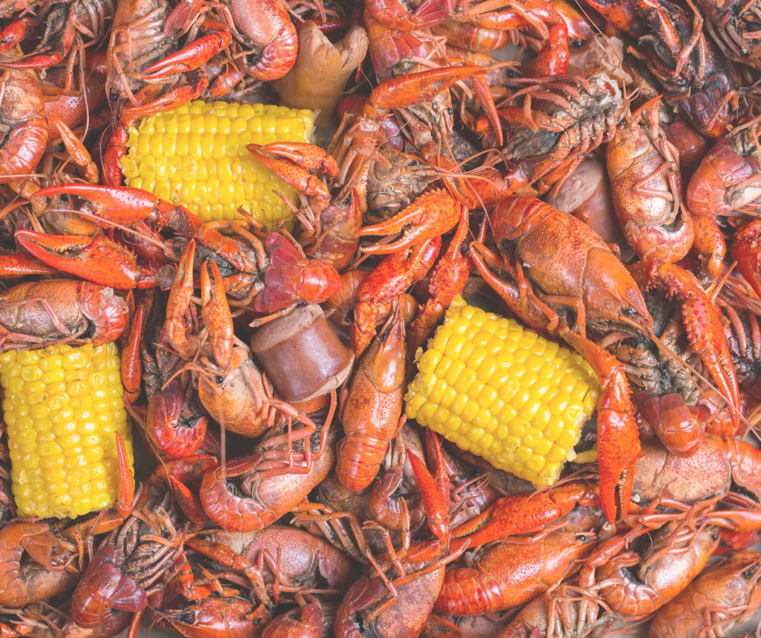 Crawfish