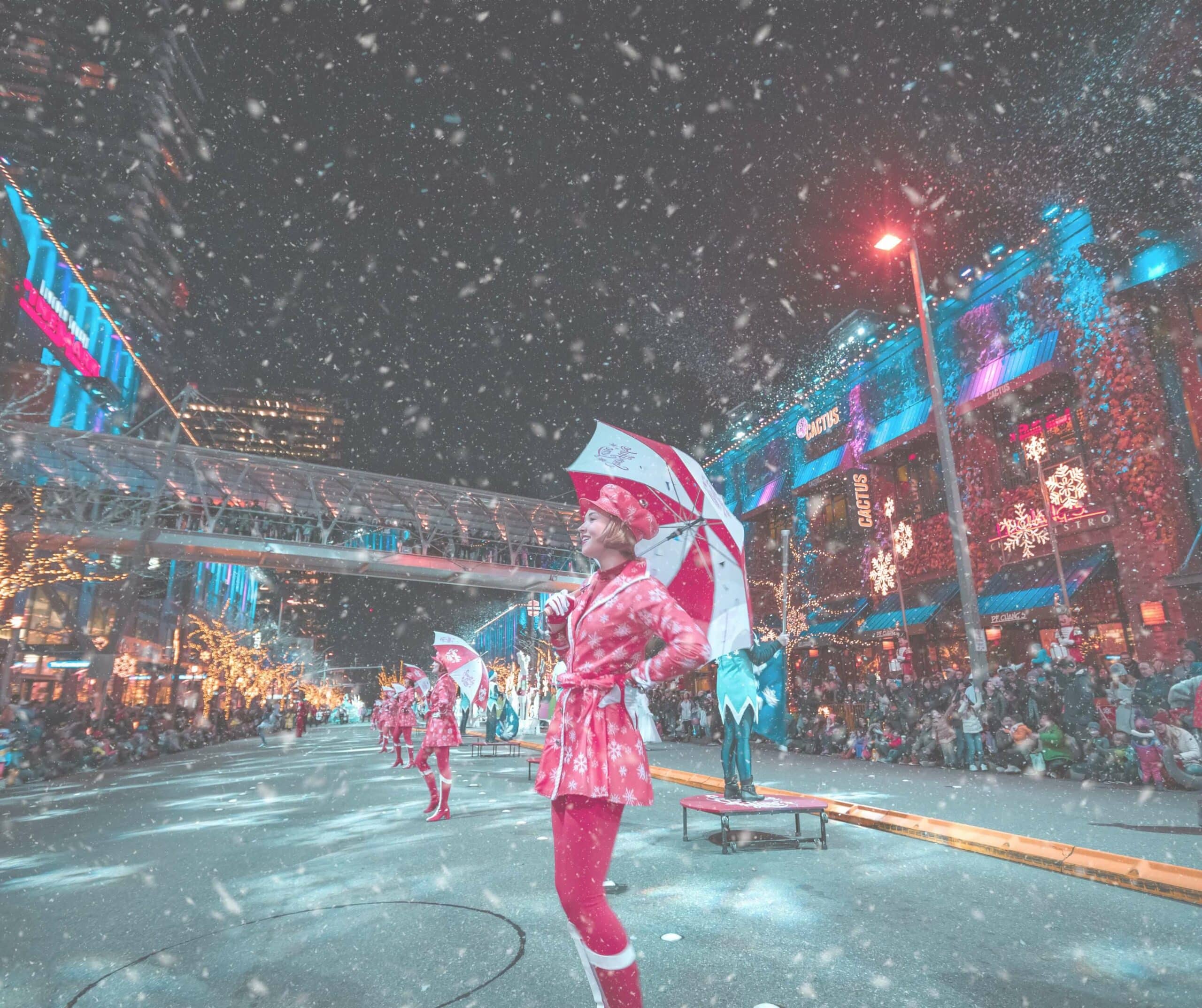 Snowflake Lane