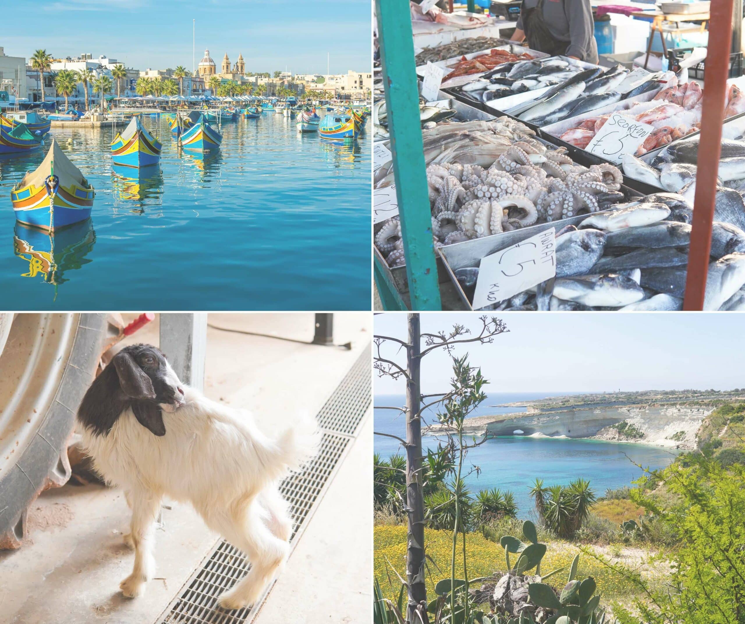 Things to do in Marsaxlokk