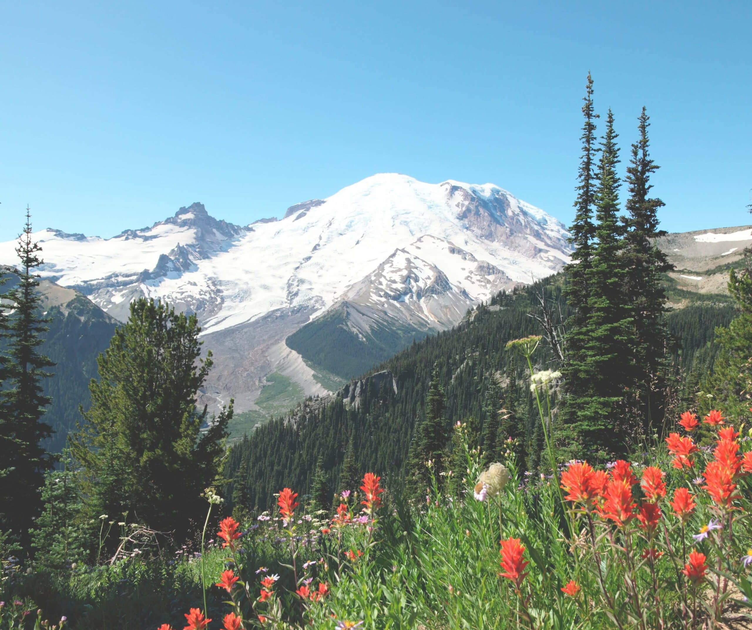 mt rainier tours from seattle