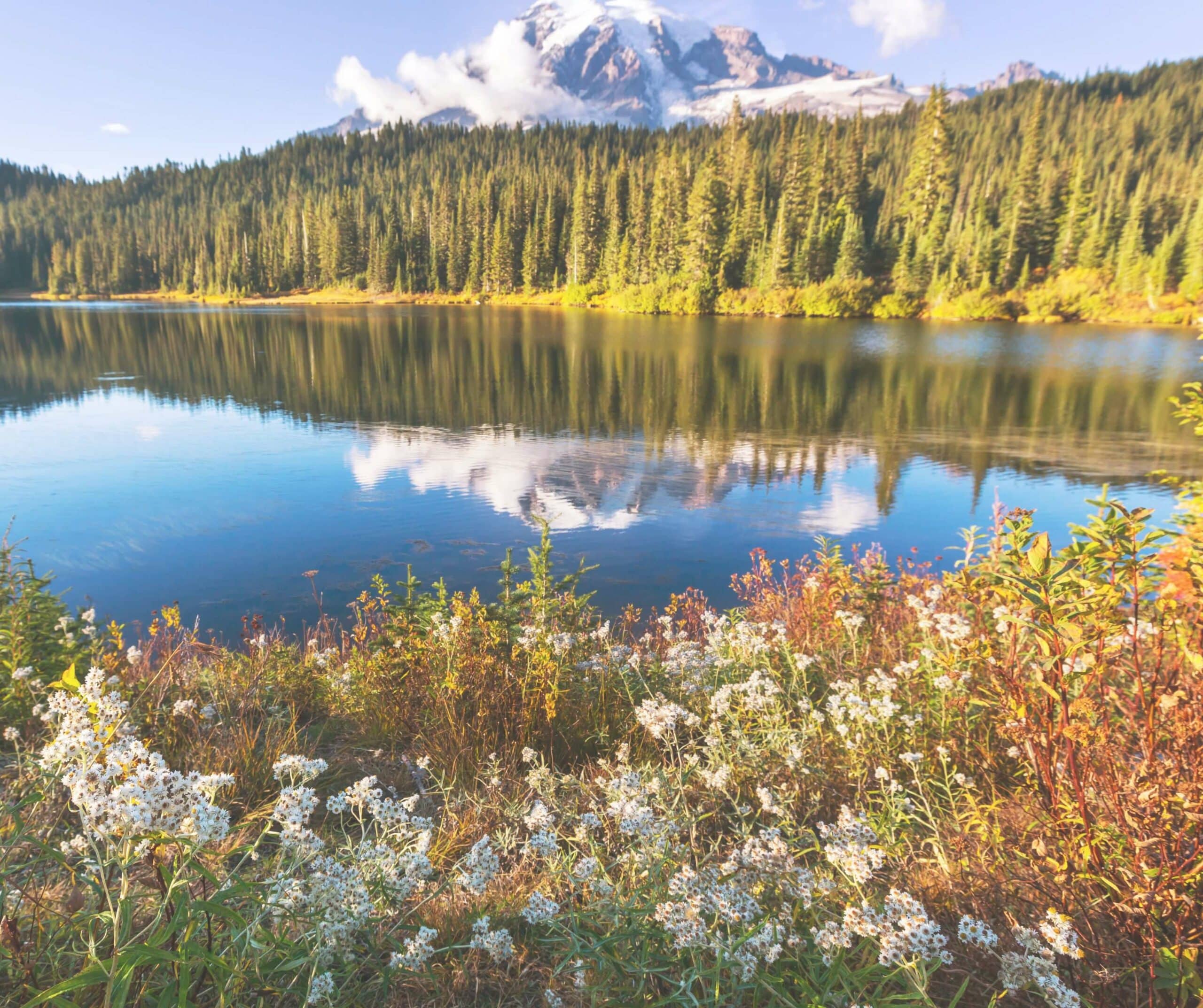 Mt Rainier National Park