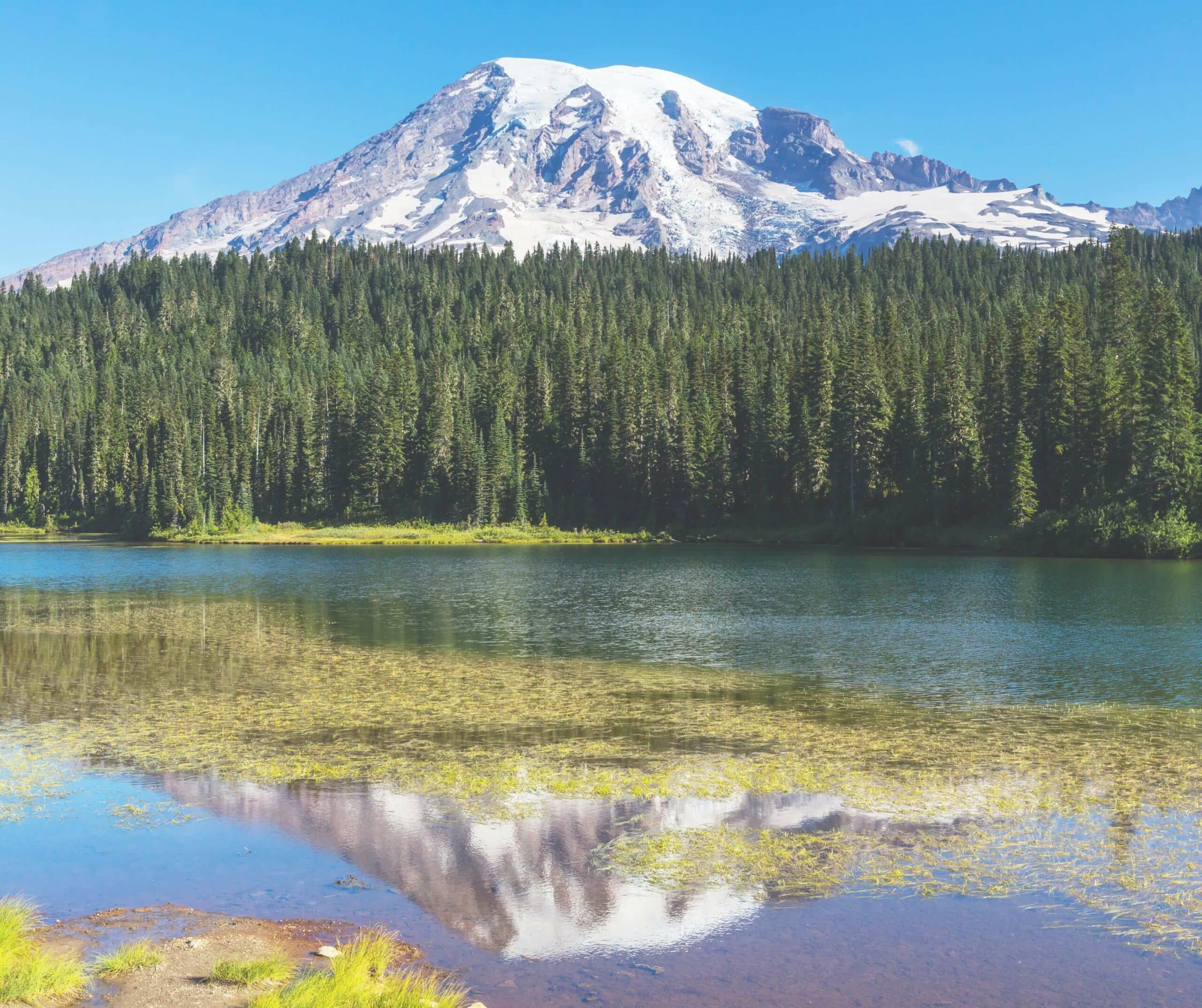 Mt Rainier Tour