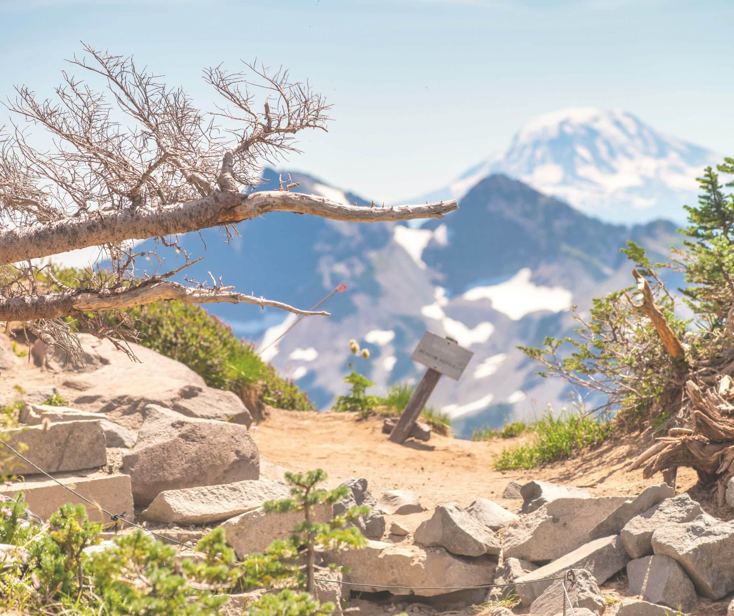 Mount Rainier: Day Hike on the Mountain