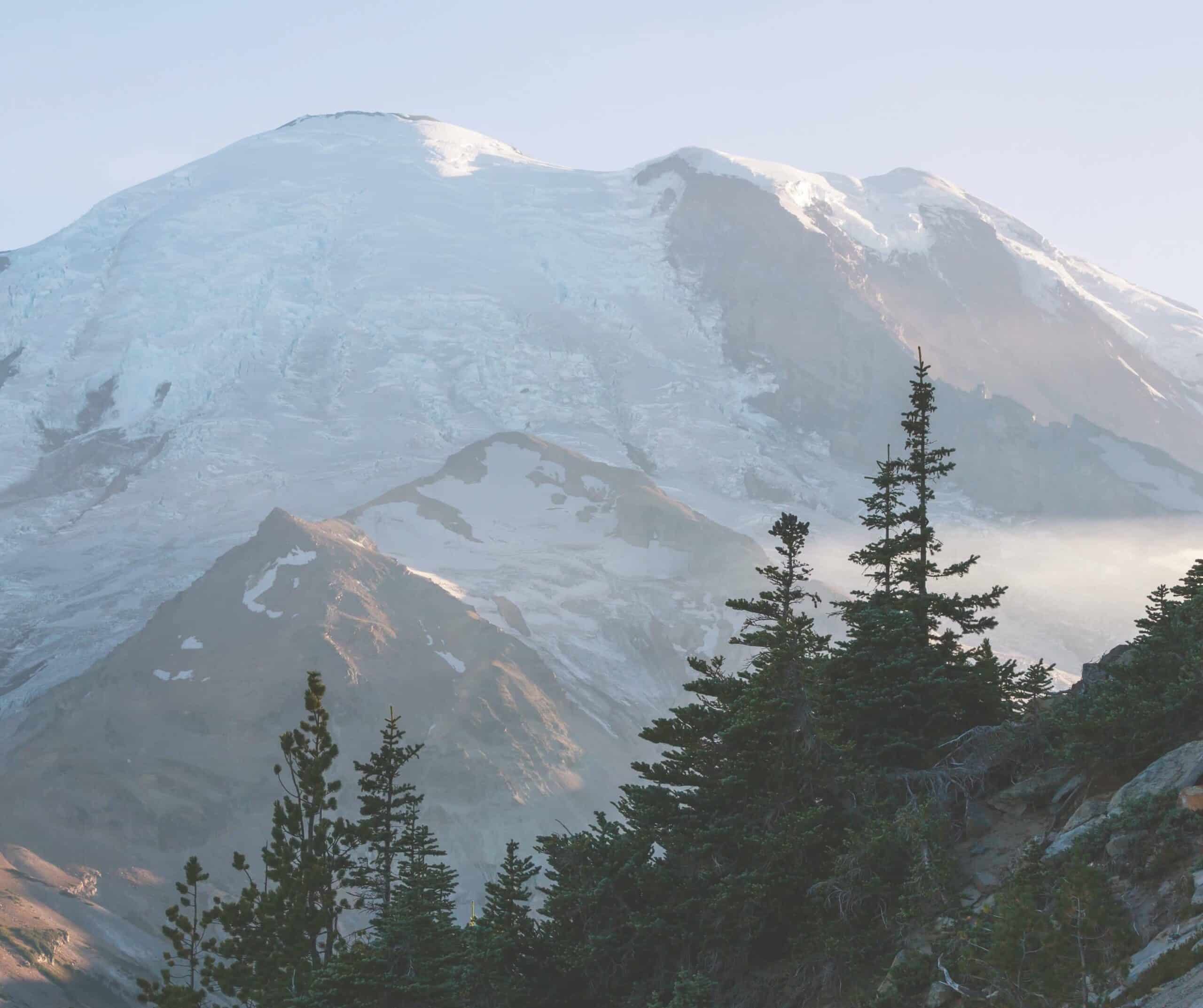 Mt. Rainier & Yakima Valley Wine Tasting