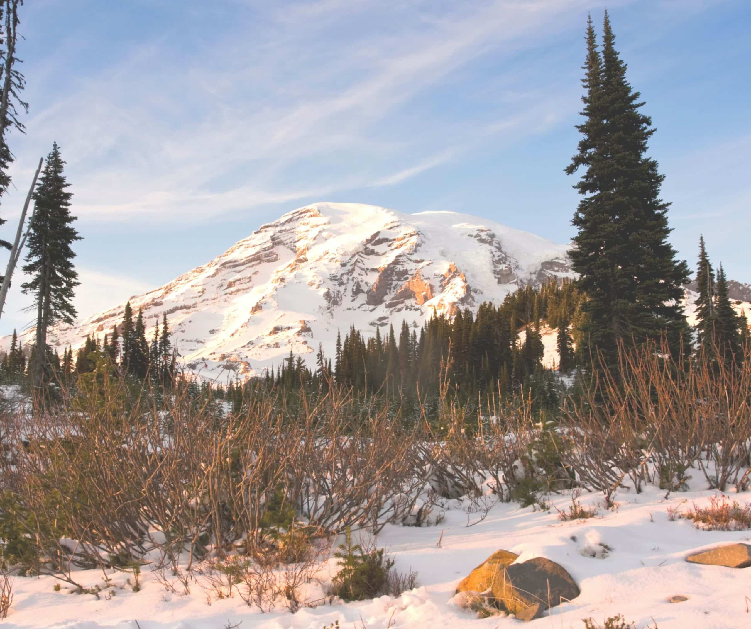 Mt rainier tour