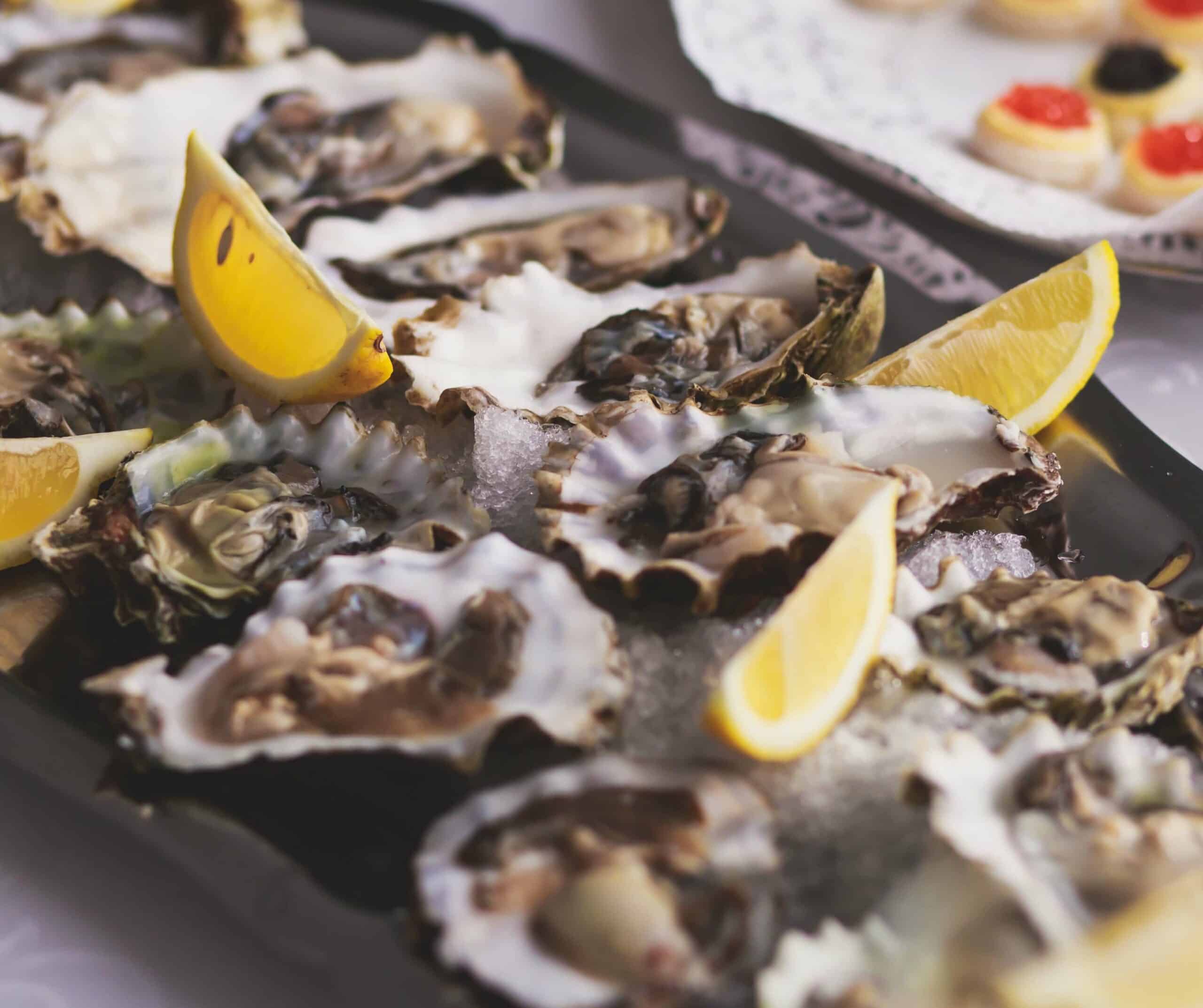 oysters on a plate